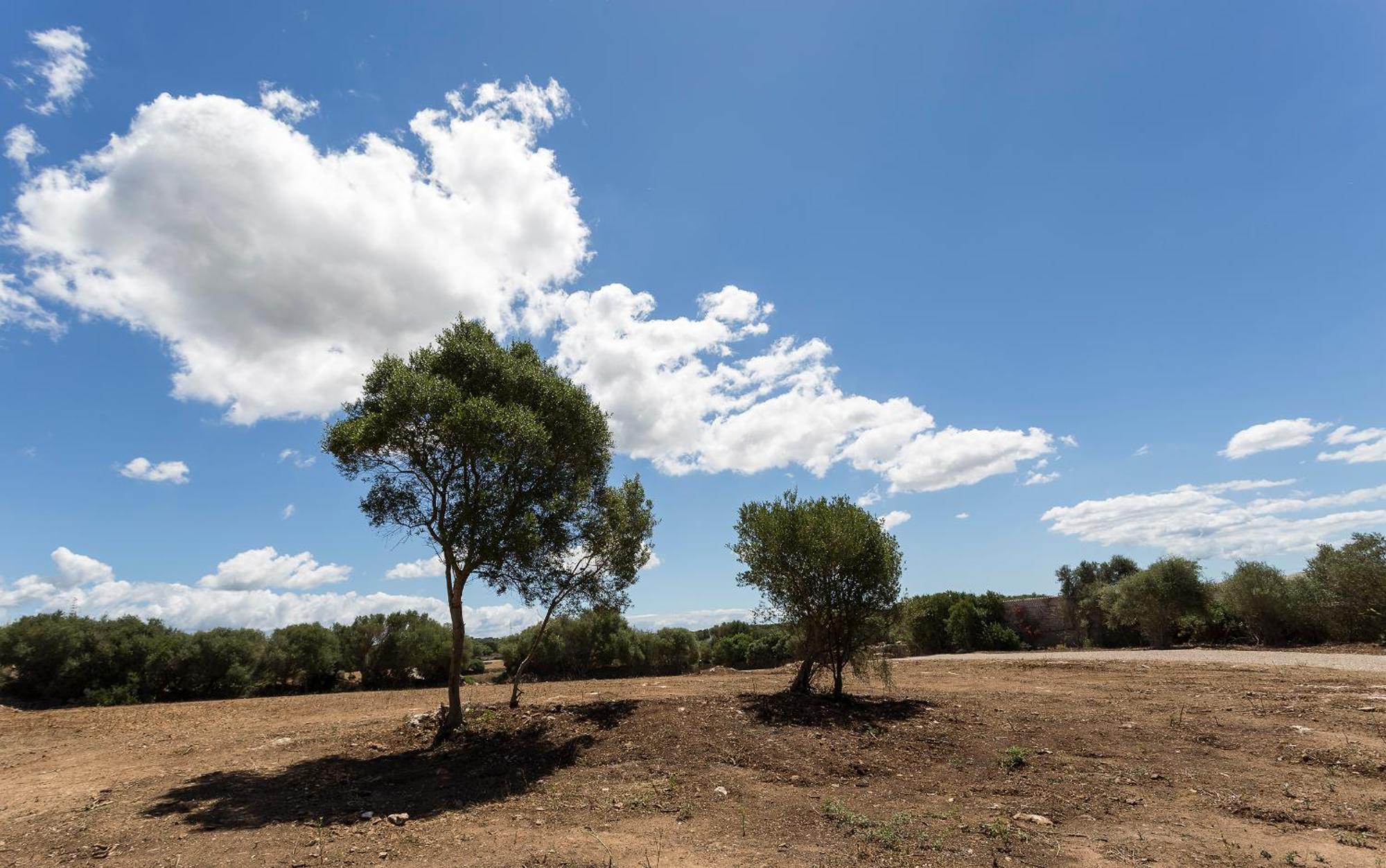 Agroturismo Santa Mariana Alaior Esterno foto